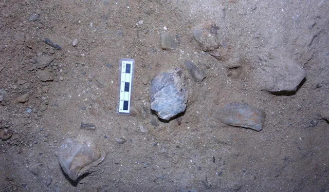  El descubrimiento tiene gran importancia, ya que capacidad cognitiva de los homínidos. Foto: Arqueología Paleorama en Red   