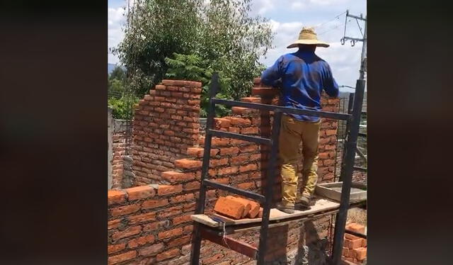 Se olvidó de las ventanas. Foto: TikTok    