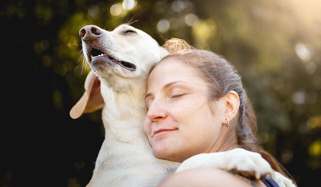  Investigadores descubrieron que los perros rindieron mejor al oír la voz de su dueño. Foto: Vida y Salud   