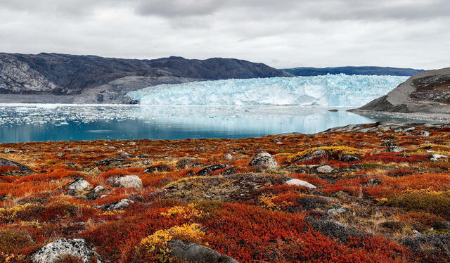  Muchos paisajes de Groenlandia están calificados como Sitios del Patrimonio Mundial de la UNESCO. Foto: Alamany   