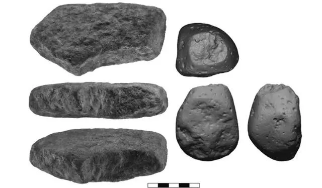  Un yunque de piedra (a la izquierda) y un martillo de piedra (a la derecha) utilizados por los humanos prehistóricos para trabajar plantas. Estas herramientas se originan del sitio arqueológico de Israel. Foto: Muy Interesante   