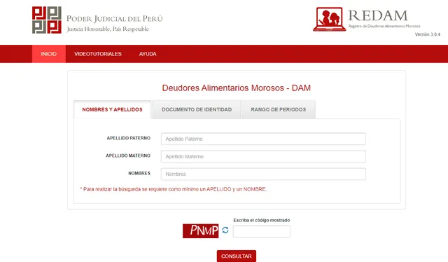  Portal web del Redam. Foto: Poder Judicial   