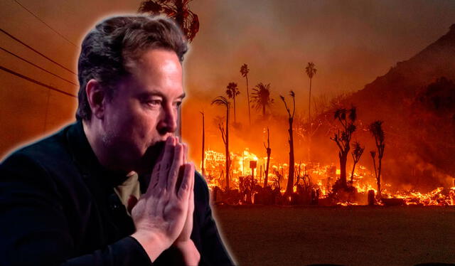  La estrategia de Musk busca garantizar comunicación efectiva y soporte inmediato para quienes más lo necesitan en California. Foto: composición LR/ independentespanol   