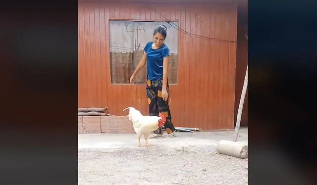 Clip es viral. Foto: TikTok    