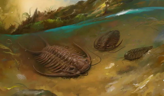  Mucho antes de que los dinosaurios reinaran sobre la Tierra, habitaron criaturas de proporciones titánicas, como los trilobites. Foto: Eldar Zakirov   