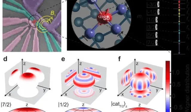  Esquema del qudit nuclear de 8 dimensiones de un isótopo en silicio, incluyen su entorno físico y los estados cuánticos. Fuente: Nature   