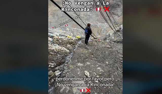 Clip es viral. Foto: TikTok   