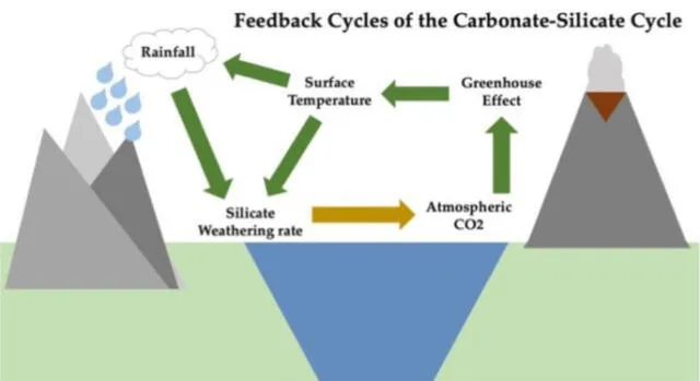  Cómo se influyen entre sí los diferentes componentes del ciclo del carbono. Foto: Wikimedia   