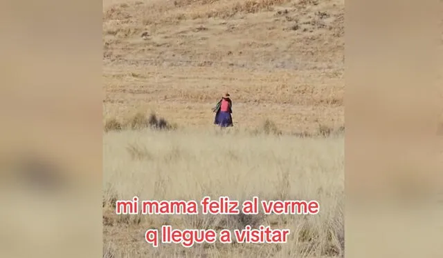 Clip es viral. Foto: TikTok   