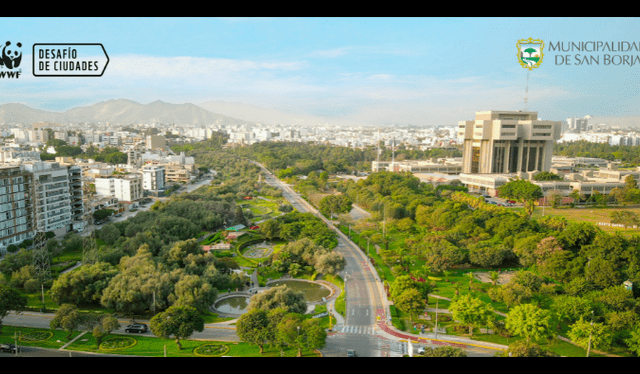  San Borja gana el Desafío de Ciudades por su política ambiental. Foto: Municipalidad de San Borja   