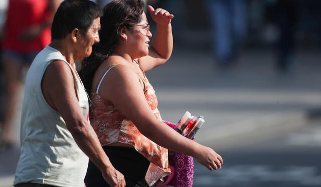 Distritos de Lima Este son los más afectados por el aumento de las temperaturas. Foto: Andina   