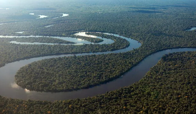 Se calcula que el Amazonas y su selva contiene el 30% de la flora y la fauna del mundo. Foto: RTVE. Se calcula que el Amazonas y su selva contiene el 30% de la flora y la fauna del mundo. Foto: RTVE.