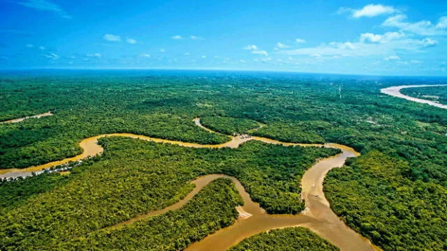 Según estudios recientes el río Amazonas es considerado el más largo del mundo con una longitud de 7.020 kilómetros. Foto: Perú Travel Según estudios recientes el río Amazonas es considerado el más largo del mundo con una longitud de 7.020 kilómetros. Foto: Perú Travel