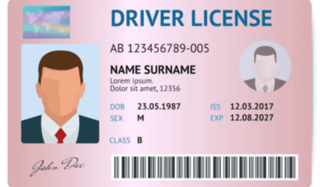  Este cambio en las leyes de tránsito en Florida refuerza la postura del estado en cuanto a la regulación de los inmigrantes. Foto: Opportunity Insurance<br><br>    