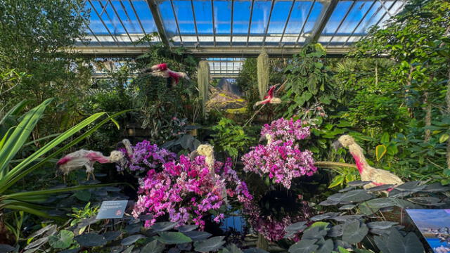 Festival de Orquídeas de Kew Gardens regresa a Londres: edición 2025 se  inspira en la belleza natural de Perú | hnews | Mundo | La República