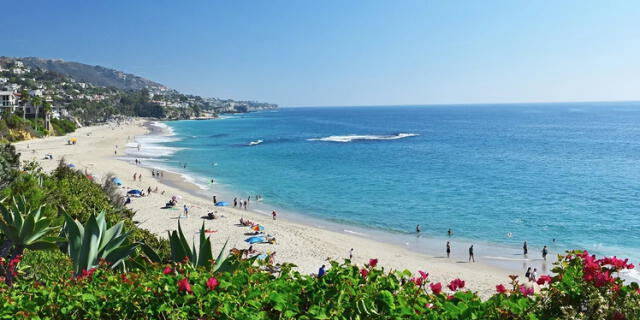 Laguna Beach ha sido escenario de varios avistamientos de tiburones blancos cerca de la costa. Foto: Visit California. Laguna Beach ha sido escenario de varios avistamientos de tiburones blancos cerca de la costa. Foto: Visit California.