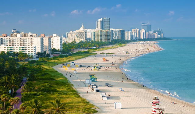 Miami Beach es popular para la observación de delfines. Foto: Greater Miami Convention & Visitors Bureau Miami Beach es popular para la observación de delfines. Foto: Greater Miami Convention & Visitors Bureau