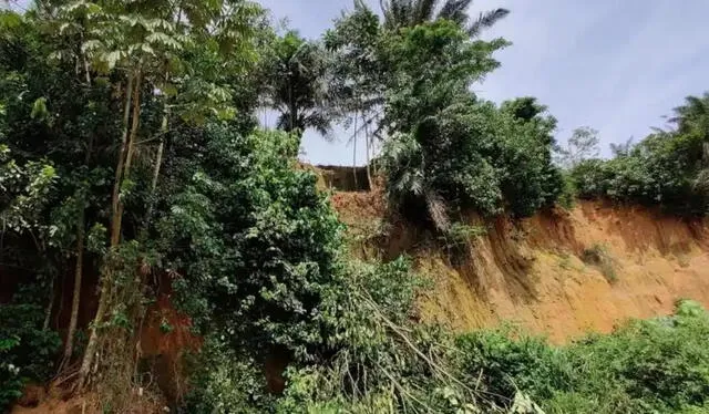 La excavación original en la que los investigadores descubrieron las herramientas de piedra de 150.000 años en Costa de Marfil. Foto: Jimbob Blinkhorn, MPG La excavación original en la que los investigadores descubrieron las herramientas de piedra de 150.000 años en Costa de Marfil. Foto: Jimbob Blinkhorn, MPG