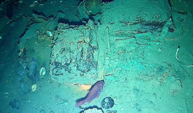  La expedición arqueológica a la zona en la que se encuentra el galeón comenzó a mediados del año pasado. Foto: EFE   