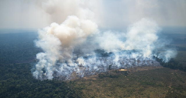  Según la Agencia para Sustancias Tóxicas y el Registro de Enfermedades (ATSDR), la exposición a altos niveles de amoníaco en el aire puede irritar la piel, los ojos, la garganta y los pulmones, así como causar tos y quemaduras. En concentraciones extremadamente altas, puede provocar daño pulmonar e incluso la muerte. Foto: AFP/referencial.   