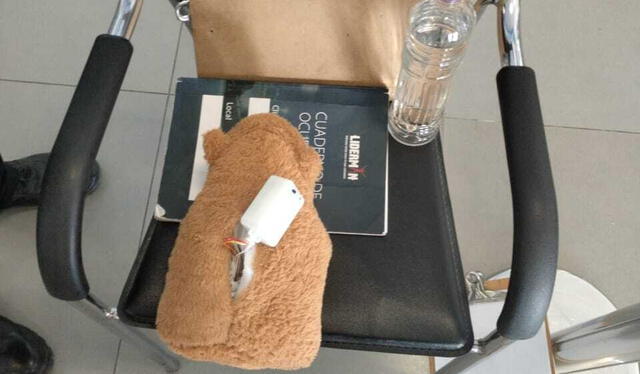 El juguete identificado como capibara tenía una abertura en la espalda con varios cables de colores, lo que provocó la alarma a las autoridades. Foto: La República El juguete identificado como capibara tenía una abertura en la espalda con varios cables de colores, lo que provocó la alarma a las autoridades. Foto: La República