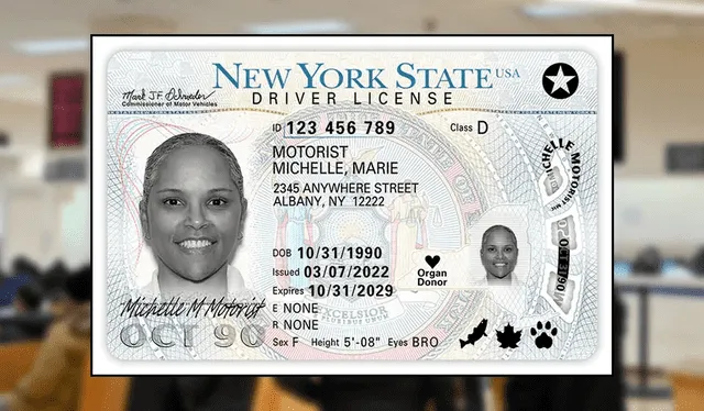  Las oficinas del DMV en Nueva York facilitan la obtención de las licencias de conducir. Foto: DMV   