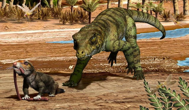 Representación del crocodilomorfo terrestre Hemiprotosuchus leali persiguiendo a un mamífero primitivo hace 215 millones de años. Foto: Jorge Gonzáles Representación del crocodilomorfo terrestre Hemiprotosuchus leali persiguiendo a un mamífero primitivo hace 215 millones de años. Foto: Jorge Gonzáles