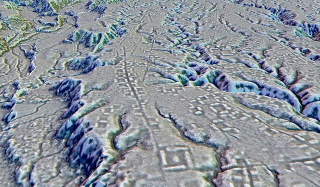 El mapa LiDAR de la ciudad en la Amazonía ecuatoriana revela antiguas calles bordeadas de casas. Foto: Stephen Rostain El mapa LiDAR de la ciudad en la Amazonía ecuatoriana revela antiguas calles bordeadas de casas. Foto: Stephen Rostain