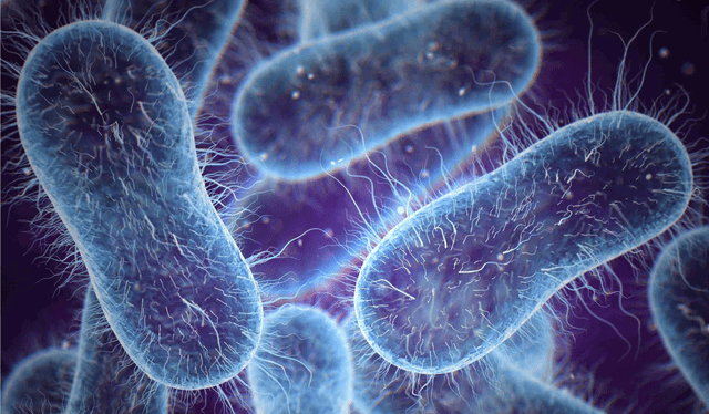 Una inteligencia artificial ayudó a resolver un problema sobre las superbacterias en tan solo 48 horas. Foto: Difusión Una inteligencia artificial ayudó a resolver un problema sobre las superbacterias en tan solo 48 horas. Foto: Difusión