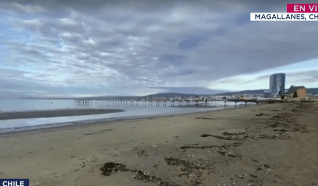 TVN Chile reveló el retroceso del mar en la playa de Chile. TVN Chile reveló el retroceso del mar en la playa de Chile.