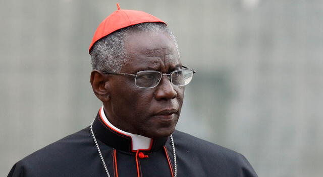 Robert Sarah, el posible remplazo del Papa Francisco. Robert Sarah, el posible remplazo del Papa Francisco.