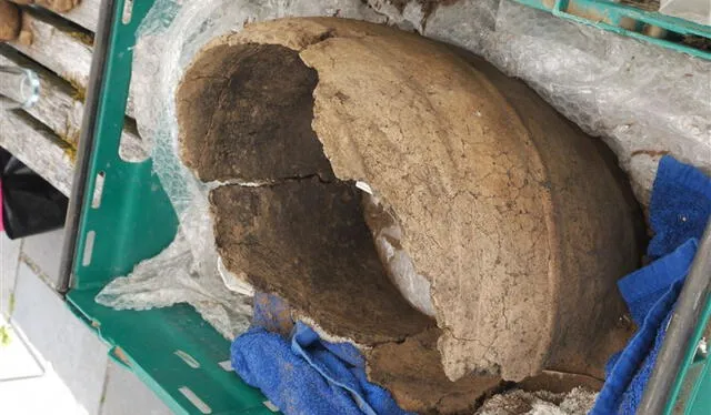 Urna acordonada de la Edad de Bronce antes de su reconstrucción. Foto: Avon Archaeology Highland Urna acordonada de la Edad de Bronce antes de su reconstrucción. Foto: Avon Archaeology Highland