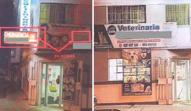 La veterinaria ofrecía un servicio de 24 horas, pero la atención la brindaban dos jóvenes sin experiencia en medicina veterinaria. Foto: Pasión por el Derecho La veterinaria ofrecía un servicio de 24 horas, pero la atención la brindaban dos jóvenes sin experiencia en medicina veterinaria. Foto: Pasión por el Derecho