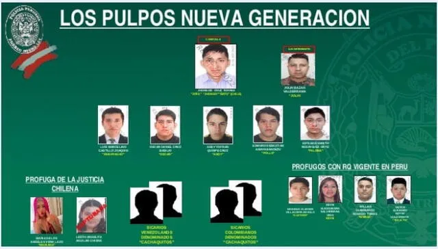 Banda criminal Los Pulpos Nueva Generación Banda criminal Los Pulpos Nueva Generación