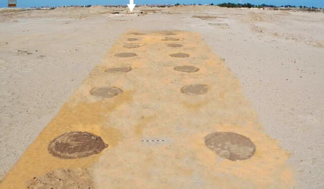 Vista aérea de los círculos de barro cocido alineados a ambos lados del camino de entrada oriental a la fortaleza ptolemaica de Tell Abu Sifi, donde se plantaron más de 500 árboles hace 2.000 años. Foto: Ministerio de Turismo y Antigüedades de Egipto Vista aérea de los círculos de barro cocido alineados a ambos lados del camino de entrada oriental a la fortaleza ptolemaica de Tell Abu Sifi, donde se plantaron más de 500 árboles hace 2.000 años. Foto: Ministerio de Turismo y Antigüedades de Egipto