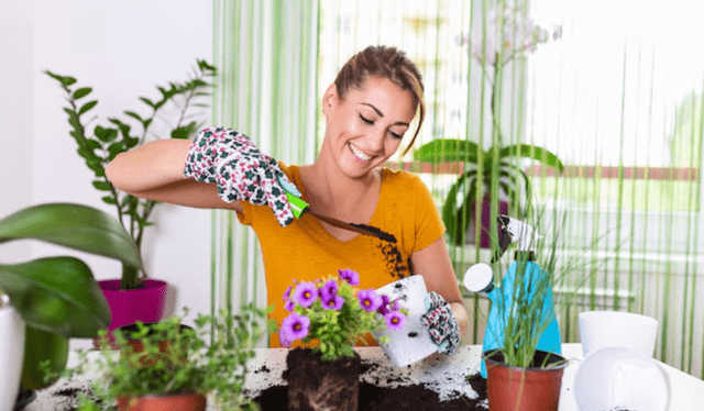 El cuidado de plantas puede ser una herramienta terapéutica para quienes han atravesado traumas o pérdidas. Foto: FreePik El cuidado de plantas puede ser una herramienta terapéutica para quienes han atravesado traumas o pérdidas. Foto: FreePik