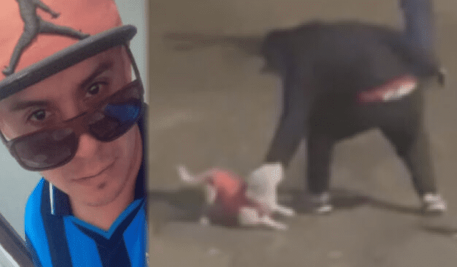Asesinan brutalmente a perrita en Trujillo. Sujeto sigue prófugo. Foto: difusión Asesinan brutalmente a perrita en Trujillo. Sujeto sigue prófugo. Foto: difusión