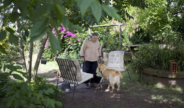 José Mujica en la tranquilidad de su chacra, rodeado de la naturaleza. Foto: Folha - UOL José Mujica en la tranquilidad de su chacra, rodeado de la naturaleza. Foto: Folha - UOL