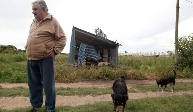  Mujica renunció a residir en la villa presidencial y siguió viviendo en su casa a las afueras de Montevideo. Foto: AFP   