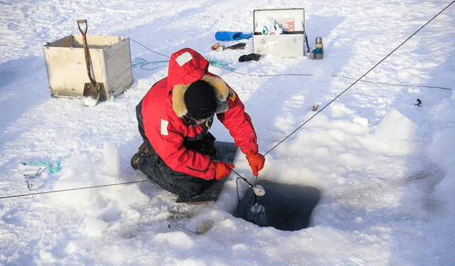 Mediciones bajo el hielo marino realizadas por un investigador danés en Groenlandia. Foto: Lars Chresten Lund-Hansen Mediciones bajo el hielo marino realizadas por un investigador danés en Groenlandia. Foto: Lars Chresten Lund-Hansen