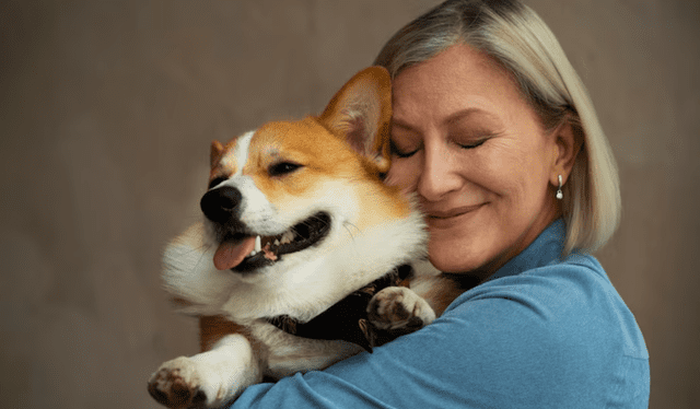  Un estudio reciente, publicado en el Centro Nacional de Información Biotecnológica de Estados Unidos, indica que la vejez en los perros generalmente comienza a los 12,5 años. Foto: FreePik   