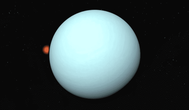 Una estrella distante desapareciendo al ser eclipsada por Urano, un evento conocido como ocultación estelar planetaria. Foto: NASA Una estrella distante desapareciendo al ser eclipsada por Urano, un evento conocido como ocultación estelar planetaria. Foto: NASA