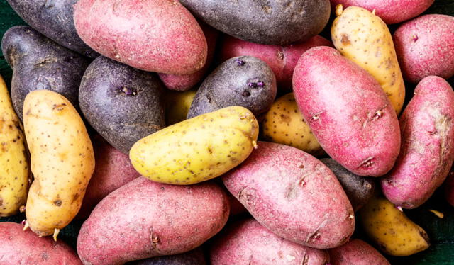 En el Perú existen más de 3.500 variedades de papas nativas, de colores y formas diferentes. Foto: difusión En el Perú existen más de 3.500 variedades de papas nativas, de colores y formas diferentes. Foto: difusión
