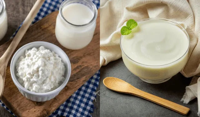  El chucrut, el yogur y el kéfir destacan por sus propiedades nutritivas y beneficios para la salud. Foto: Composición LR/ FreePik   