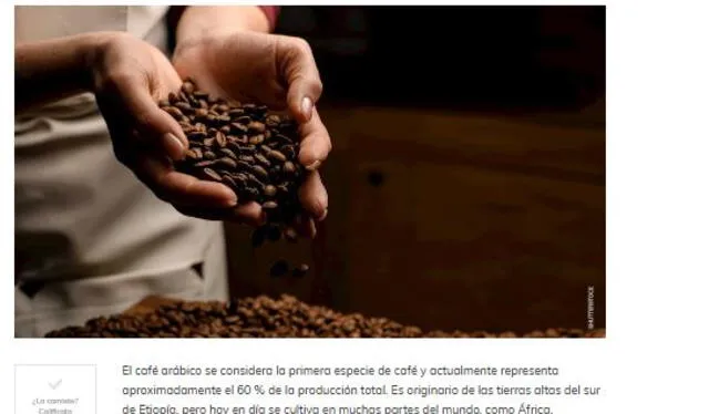 El café Arábica de Etiopía es reconocido como la primera especie cultivada en el mundo. Foto: Taste Atlas El café Arábica de Etiopía es reconocido como la primera especie cultivada en el mundo. Foto: Taste Atlas