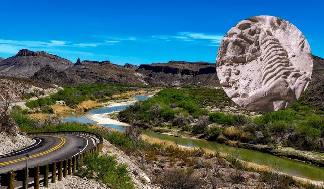  El Dr. Tykoski enfatizó que el hallazgo de fósiles en Texas no es un evento aislado. Foto: FreePik   