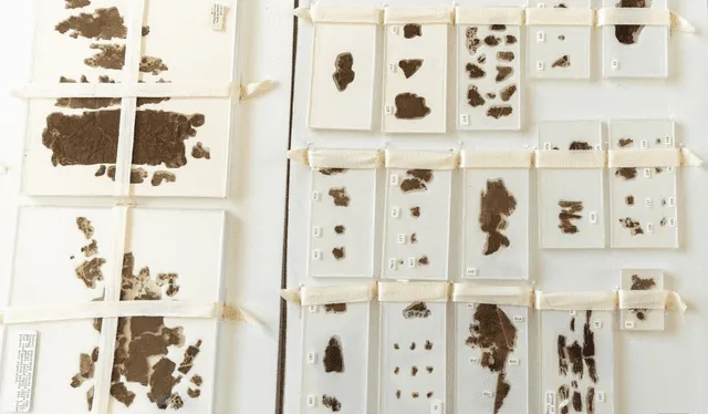  La Embajada de China en Washington D. C., se exhibieron antiguos manuscritos Zidanku. Foto: Spanish Xinhuanet   