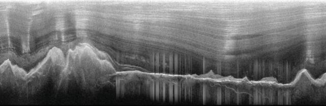 Imagen de radar que muestra la cordillera Gamburtsev bajo capas de hielo. Foto: Geophysical Research Letters Imagen de radar que muestra la cordillera Gamburtsev bajo capas de hielo. Foto: Geophysical Research Letters