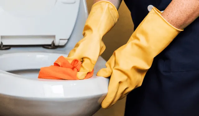  El baño se debe limpiar con frecuencia para evitar que vuelva el sarro: Foto: FreePik   