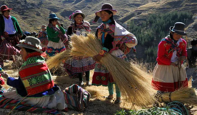Los comuneros trenzaban la paja o ichu para asegurar la estructura de 28 metros de largo que cruza el río Apurímac. Foto: NatGeo Los comuneros trenzaban la paja o ichu para asegurar la estructura de 28 metros de largo que cruza el río Apurímac. Foto: NatGeo